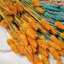 Assortimento di mazzi di fiori secchi blu e gialli - Flowrette — visual 4