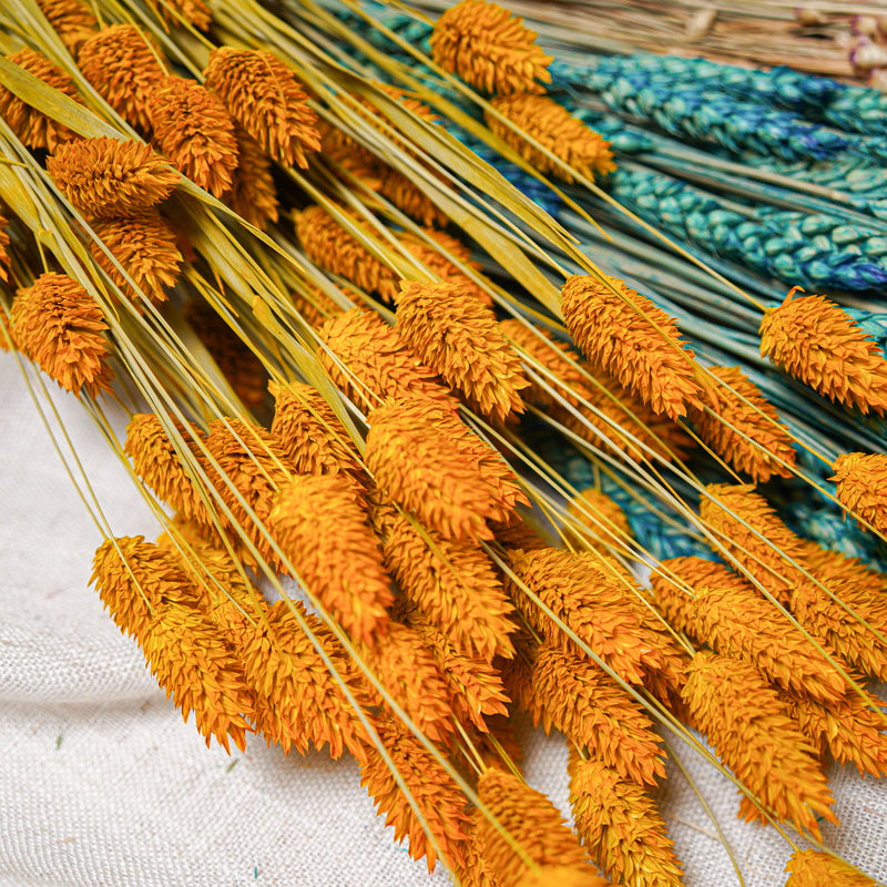 Assortimento di mazzi di fiori secchi blu e gialli - Flowrette — visual 4