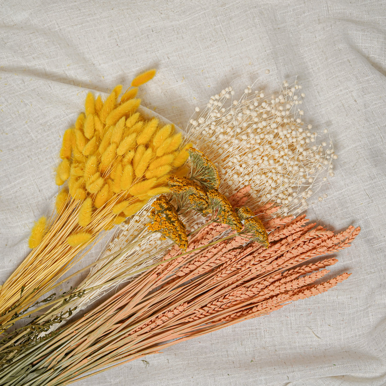 Assortimento di mazzi di fiori secchi giallo pesco - Flowrette