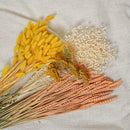 Assortiment de bottes de fleurs séchées jaune pêche - Flowrette — visuel 2