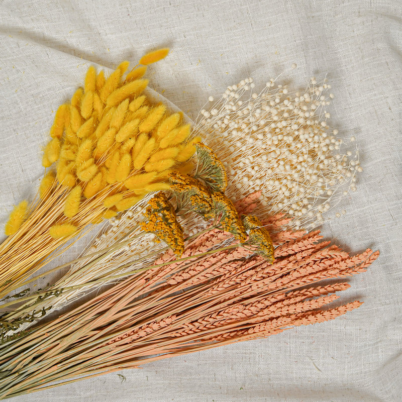 Assortiment de bottes de fleurs séchées jaune pêche - Flowrette — visuel 2
