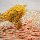 Assortiment de bottes de fleurs séchées jaune pêche - Flowrette — visuel 3