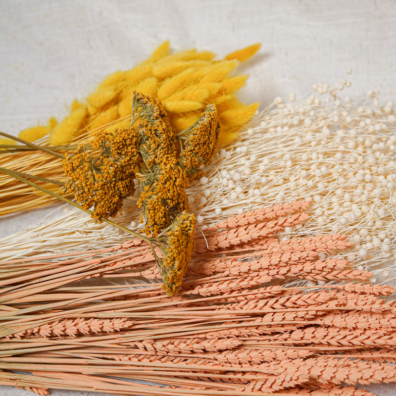 Assortiment de bottes de fleurs séchées jaune pêche - Flowrette — visuel 3