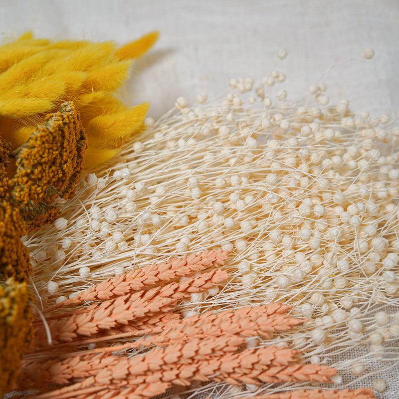 Assortiment de bottes de fleurs séchées jaune pêche - Flowrette — visuel 4