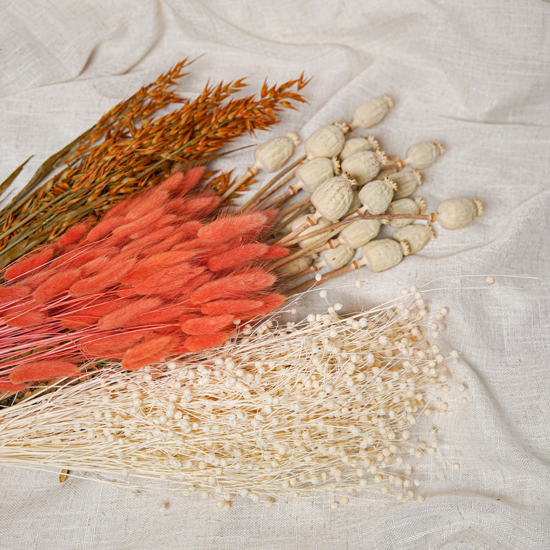 Assortment of bunches of orange dried flowers - Flowrette