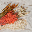 Assortment of bunches of orange dried flowers - Flowrette — visual 2