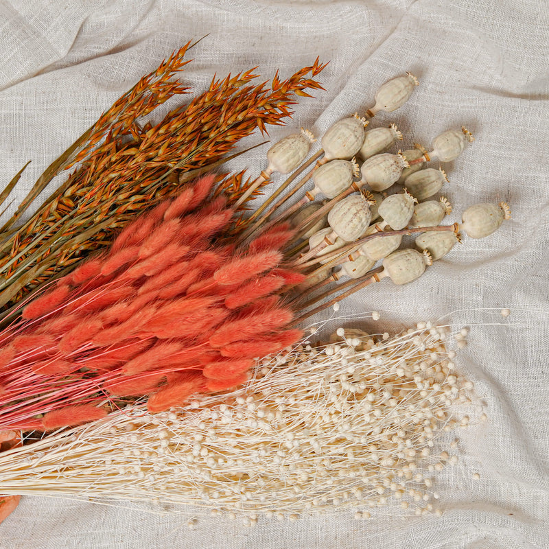 Assortment of bunches of orange dried flowers - Flowrette — visual 2