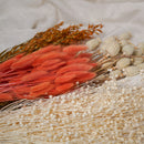 Assortment of bunches of orange dried flowers - Flowrette — visual 3