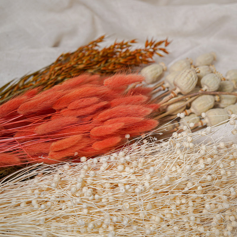 Assortment of bunches of orange dried flowers - Flowrette — visual 3