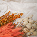 Assortment of bunches of orange dried flowers - Flowrette — visual 4