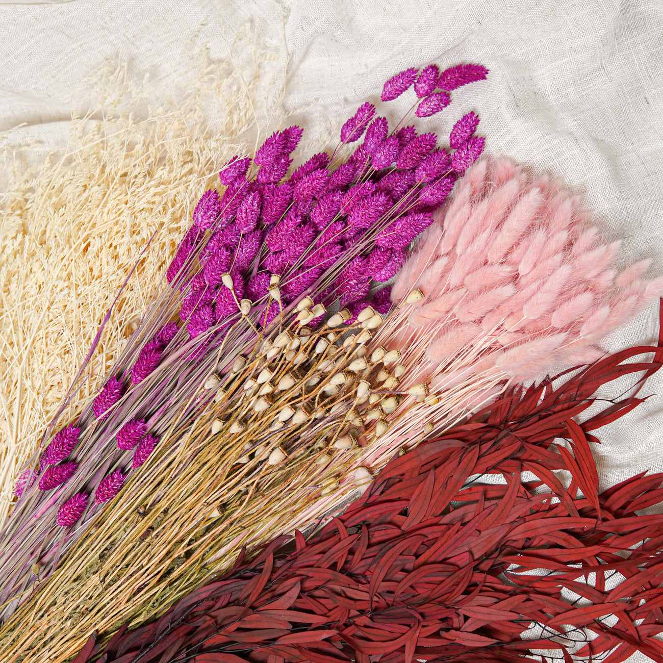 Assortimento di mazzi di fiori secchi rosa - Flowrette