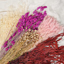 Assortiment de bottes de fleurs séchées roses - Flowrette
