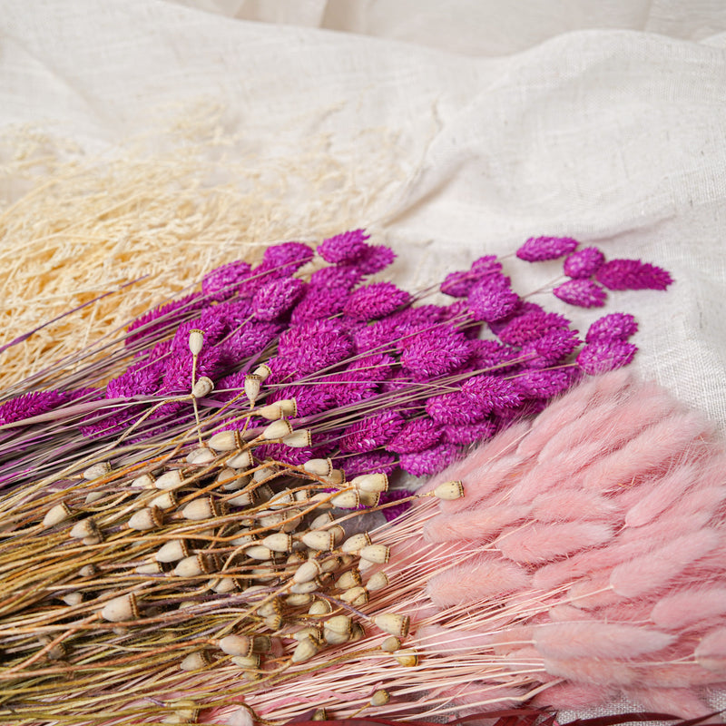 Assortiment de bottes de fleurs séchées roses - Flowrette — visuel 2