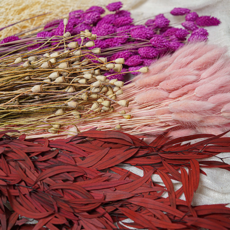 Assortiment de bottes de fleurs séchées roses - Flowrette — visuel 3