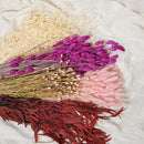 Assortiment de bottes de fleurs séchées roses - Flowrette — visuel 5