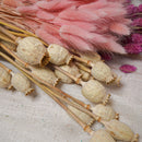 Assortiment de bottes de fleurs séchées rose beige rouge - Flowrette — visuel 3