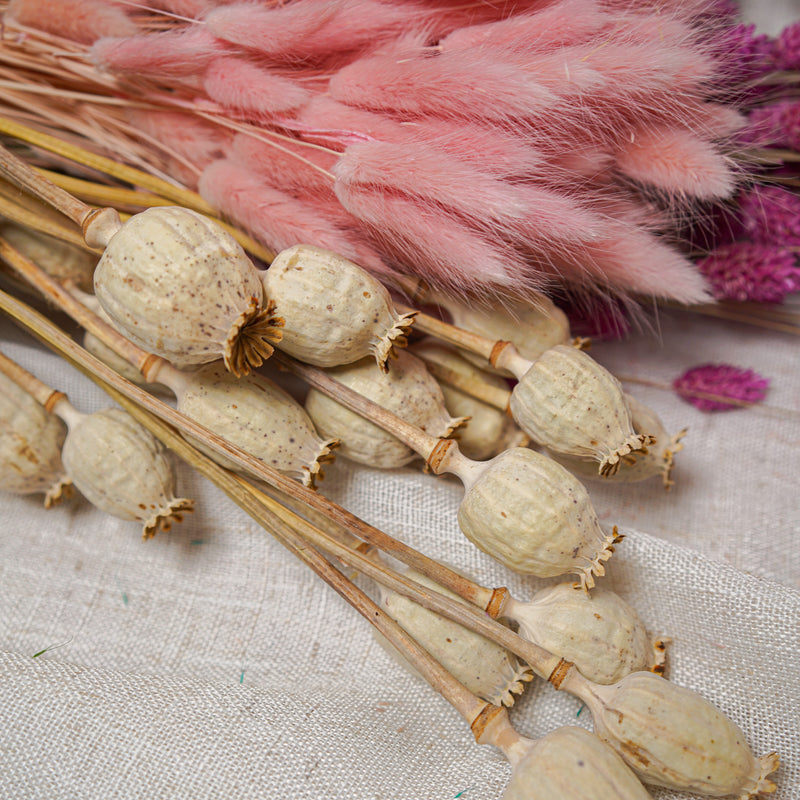 Assortiment de bottes de fleurs séchées rose beige rouge - Flowrette — visuel 3