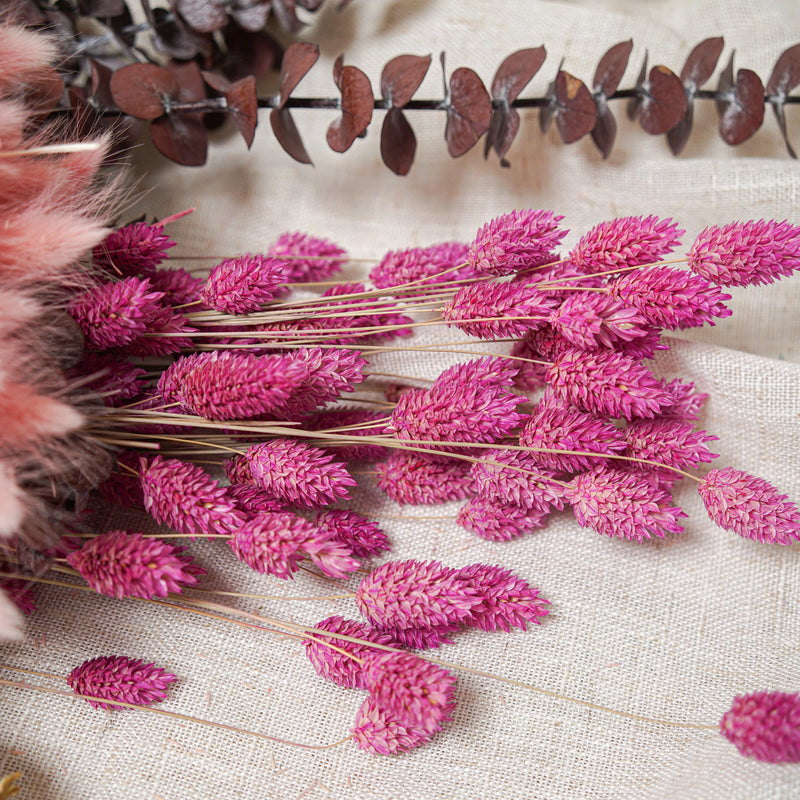 Assortiment de bottes de fleurs séchées rose beige rouge - Flowrette — visuel 5