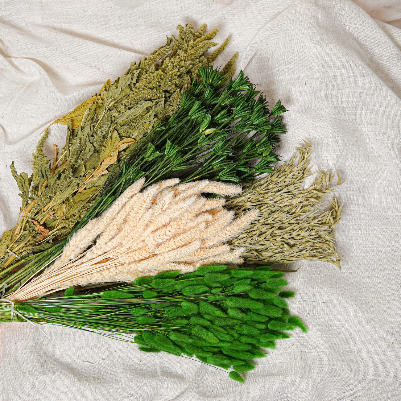 Assortimento di mazzi di fiori secchi verdi - Flowrette