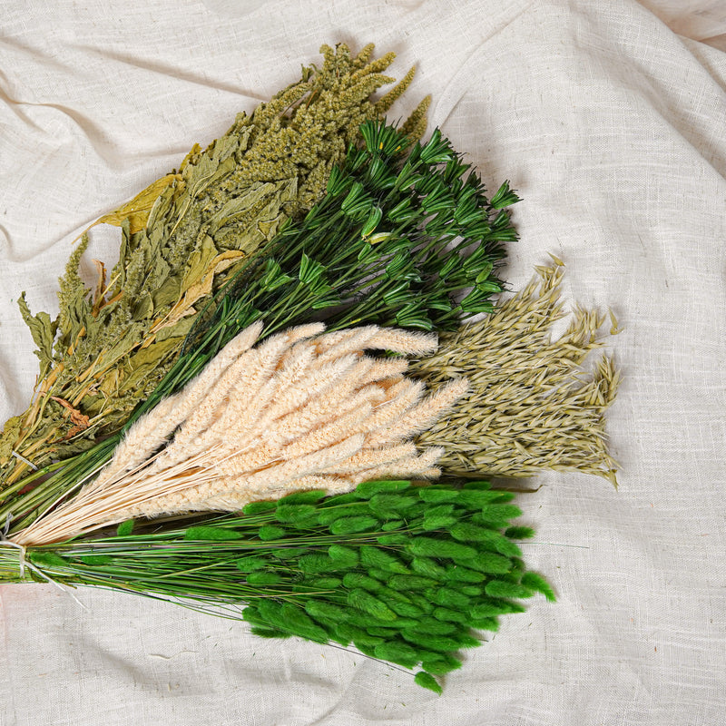 Assortimento di mazzi di fiori secchi verdi - Flowrette