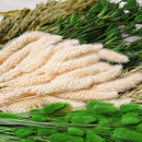 Assortimento di mazzi di fiori secchi verdi - Flowrette — visual 4