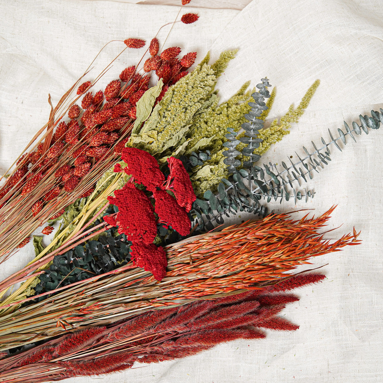 Assortimento di mazzi di fiori secchi verde rosso arancio - Flowrette