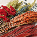 Assortiment de bottes de fleurs séchées vert rouge orange - Flowrette — visuel 3