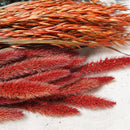 Assortiment de bottes de fleurs séchées vert rouge orange - Flowrette — visuel 4