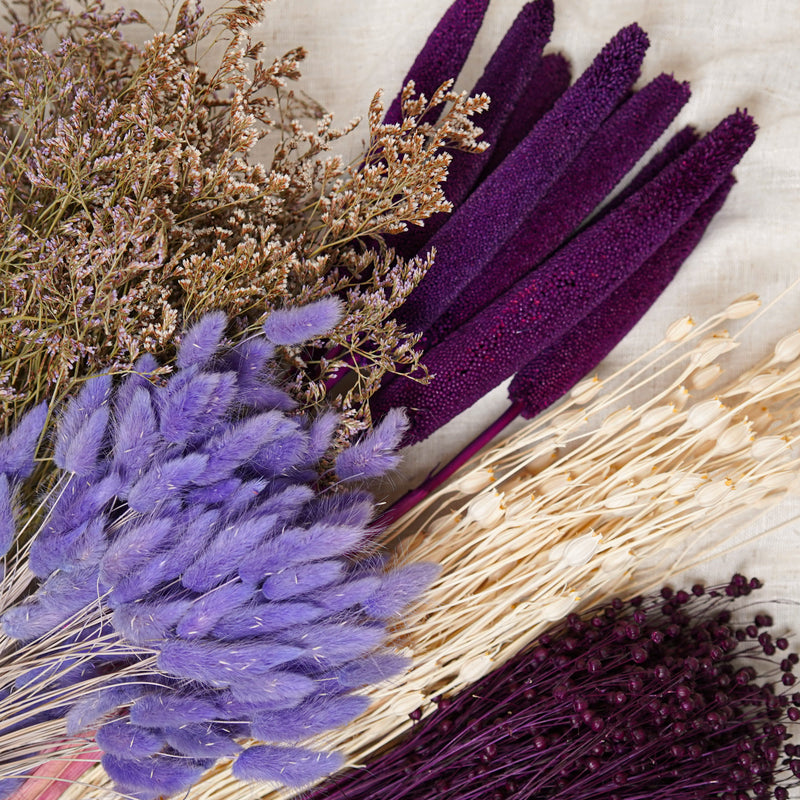 Surtido de ramos de flores secas moradas - Flowrette