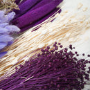 Surtido de ramos de flores secas de color violeta - Flowrette, visual 5