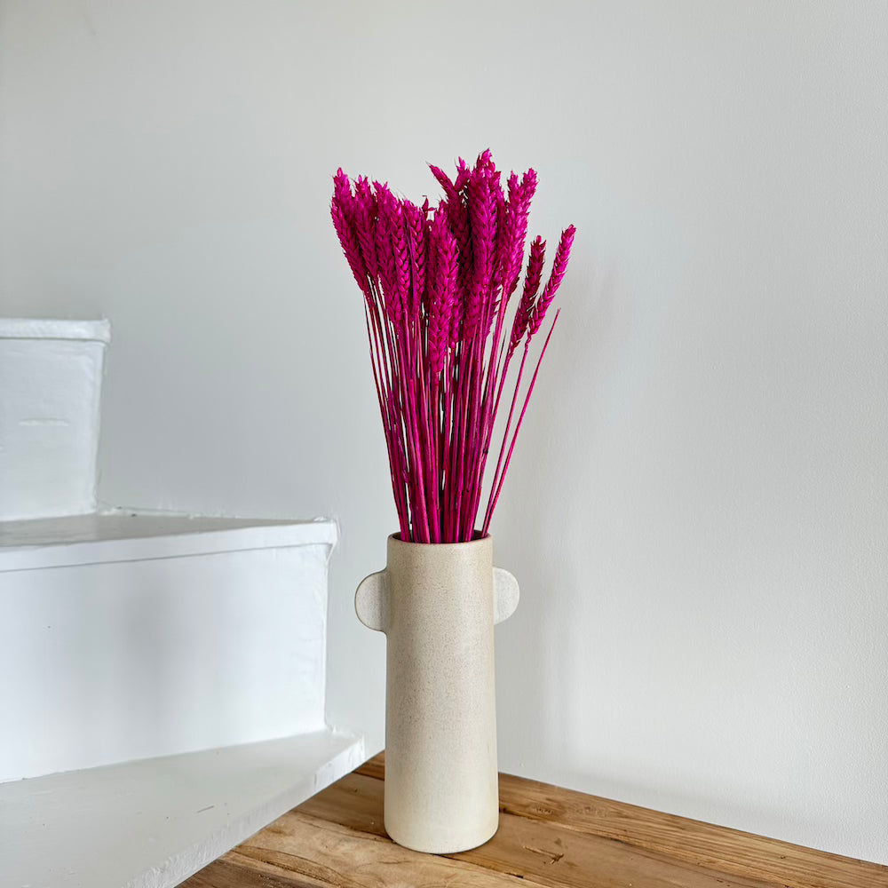 Botte de blé séché magenta, vue de face - Flowrette