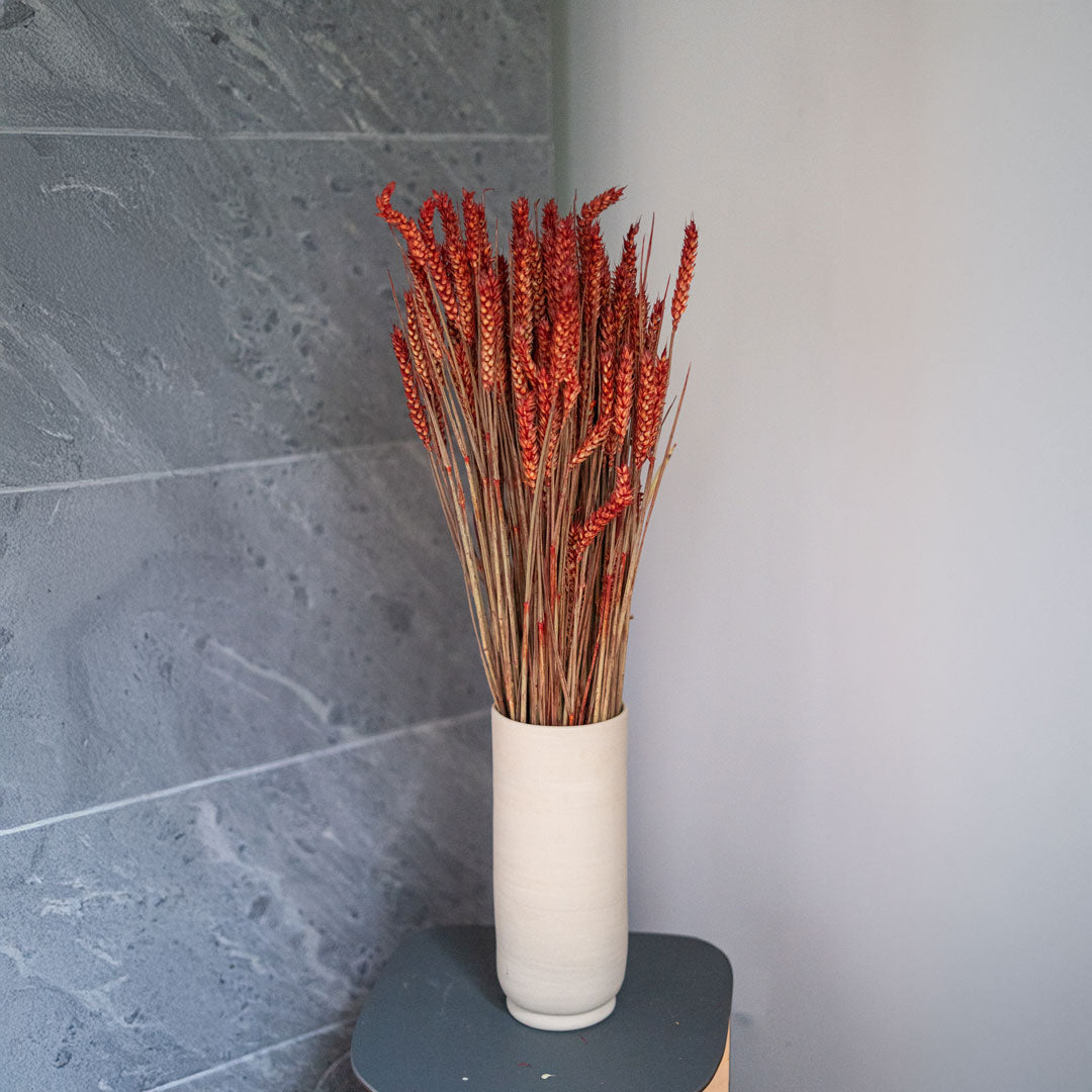 Flowrette Botte fleurs séchées Blé Rouge