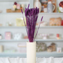 Botte de blé violet intense séché en bouquet de fleurs séchées Flowrette