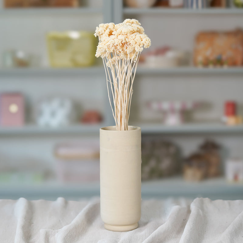 Botte d'achillée Parker blanc séchée, détail des têtes Flowrette