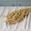 Botte d'amarante tombante séchée Flowrette en gros plan