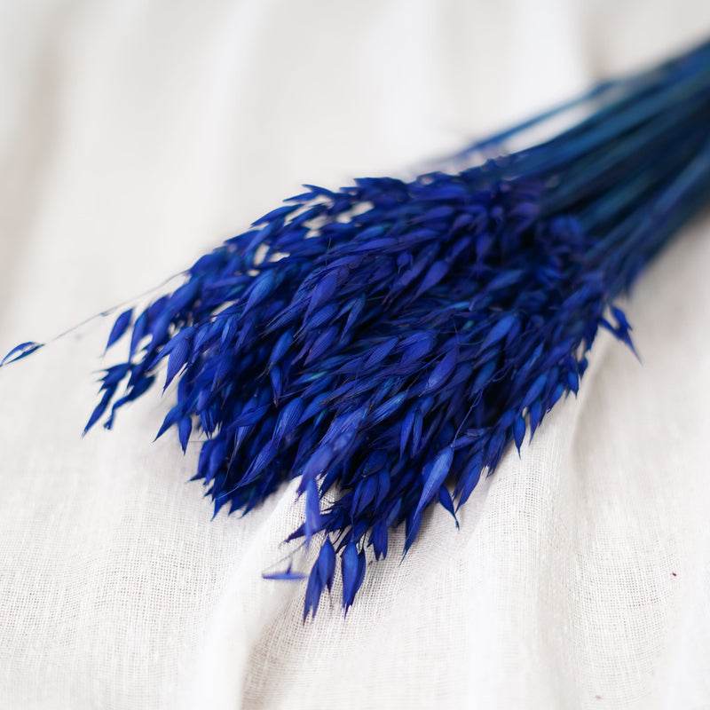 Botte d'avoine bleu intense séchée dans un vase Flowrette