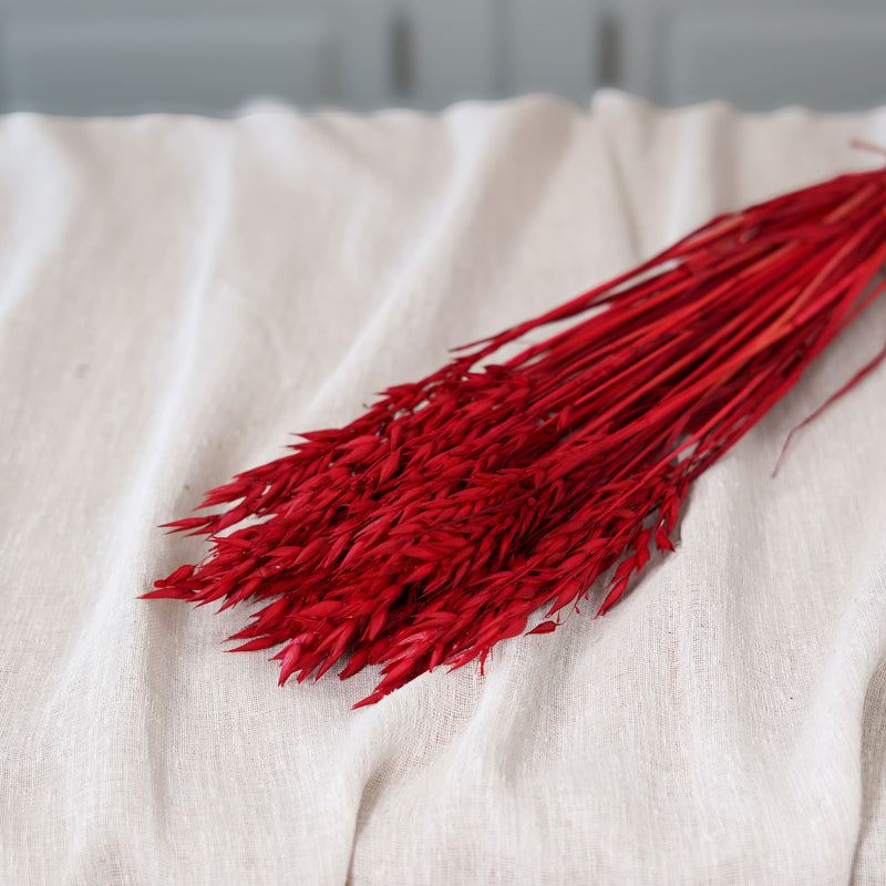 Botte d'avoine rouge intense séchée Flowrette en gros plan