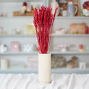 Botte d'avoine rouge intense séchée en bouquet de fleurs séchées Flowrette