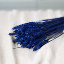Botte de blé bleu intense séché dans un vase Flowrette