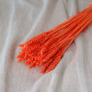 Botte de blé orange intense séché Flowrette en gros plan