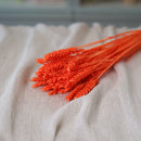Botte de blé orange intense séché en bouquet de fleurs séchées Flowrette