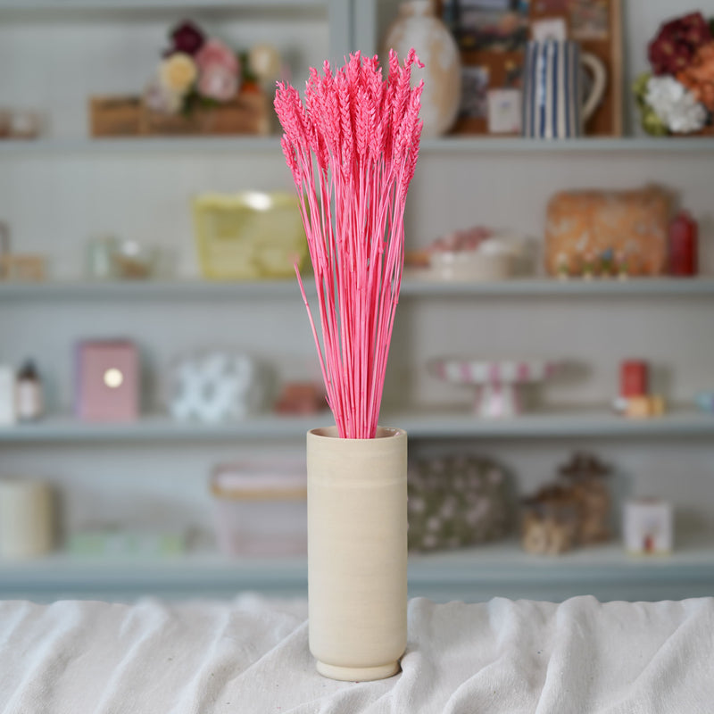 Botte de blé rose intense séché en bouquet de fleurs séchées Flowrette