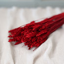 Botte de blé rouge intense séché dans un vase Flowrette