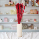 Botte de blé rouge intense séché en bouquet de fleurs séchées Flowrette