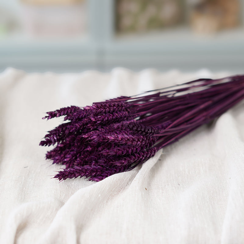 Botte de blé violet intense séché dans un vase Flowrette