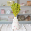 Botte de broom bloom vert pâle séché en bouquet de fleurs séchées Flowrette