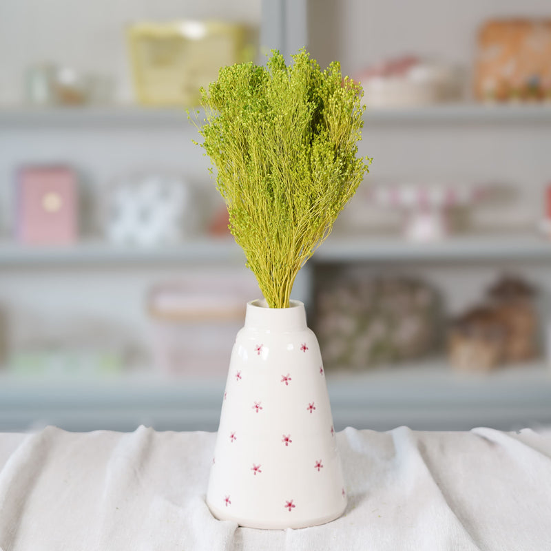 Botte de broom bloom vert pâle séché en bouquet de fleurs séchées Flowrette