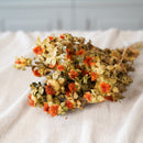 Botte de carthame séché orange Flowrette - photo 1