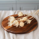 Botte de fenouil blanc séché Flowrette en gros plan