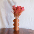 Botte Broom bloom Rose